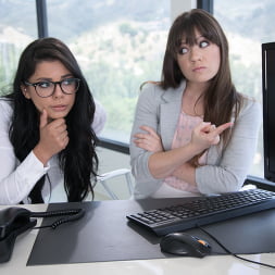 Lady Boss: The IT Nerd