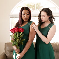 Role Models: Always A Bridesmaid