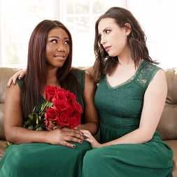Role Models: Always A Bridesmaid