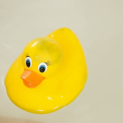 Bath Time