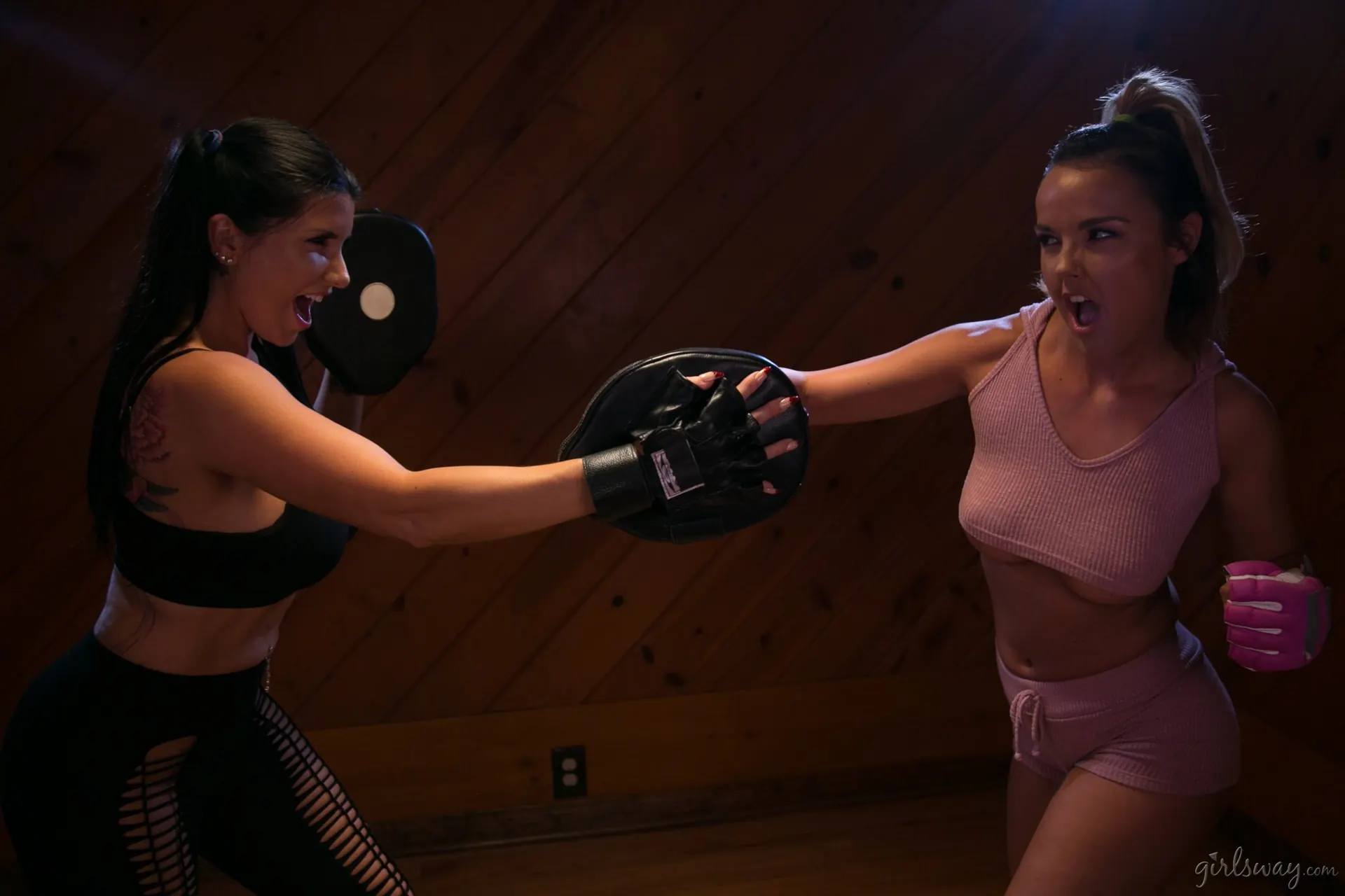 Dillion Harper - Lesbian Workout Stories: Going Hard | Picture (9)