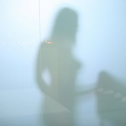 Shadow On The Wall