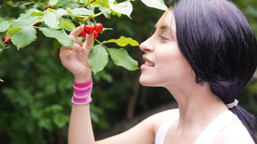 Cherry Kiss