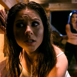 VAMPIRES: Part 5: There Can Only Be One